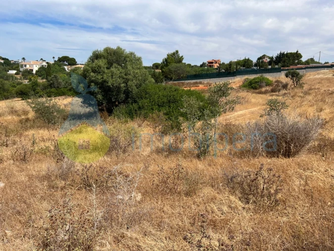 Terreno Agricola ou Rústico para Venda em Albufeira e Olhos de Água Foto 23
