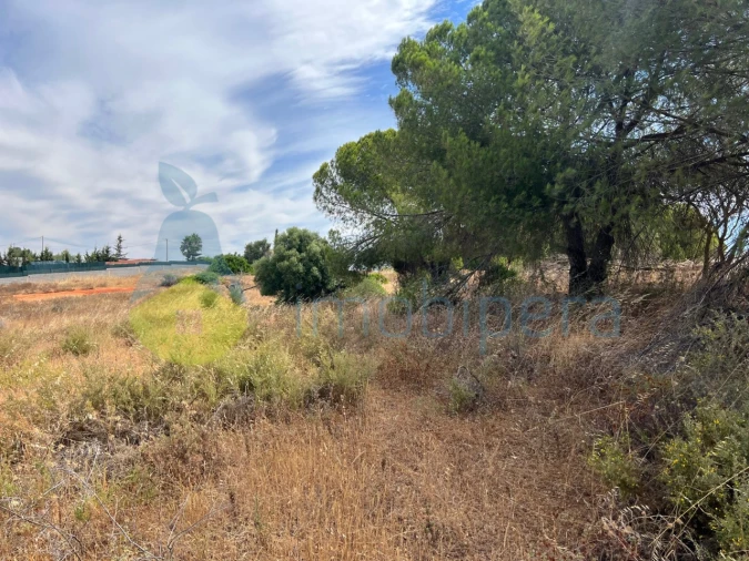 Terreno Agricola ou Rústico para Venda em Albufeira e Olhos de Água Foto 27