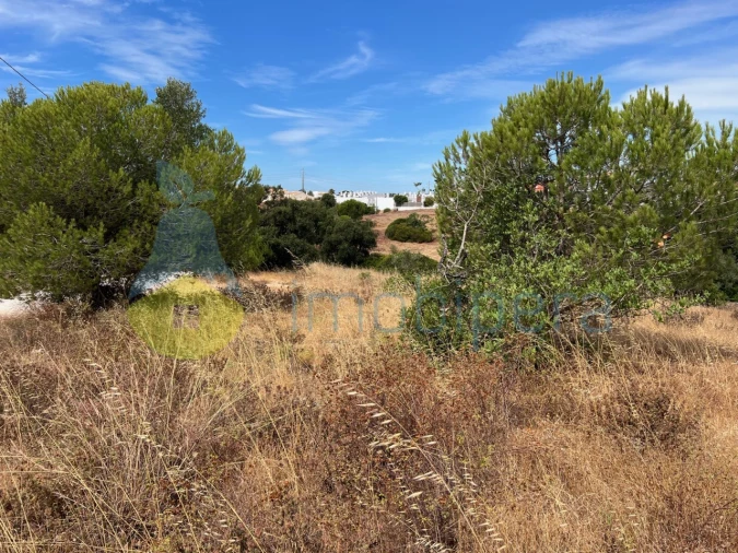 Terreno Agricola ou Rústico para Venda em Albufeira e Olhos de Água Foto 28