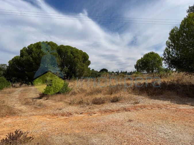 Terreno Agricola ou Rústico para Venda em Albufeira e Olhos de Água Foto 30