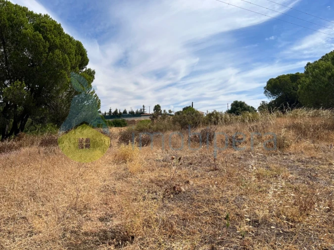 Terreno Agricola ou Rústico para Venda em Albufeira e Olhos de Água Foto 34