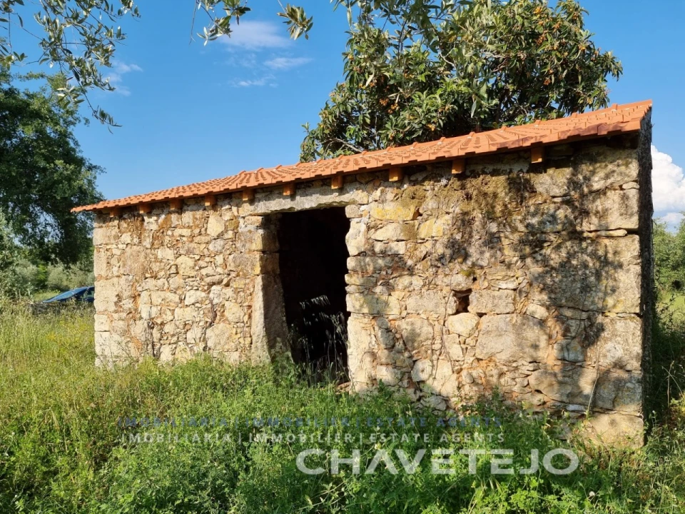 Terreno para Venda em Chãos Foto 2