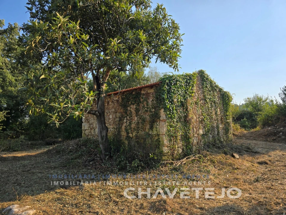 Terreno para Venda em Chãos Foto 10