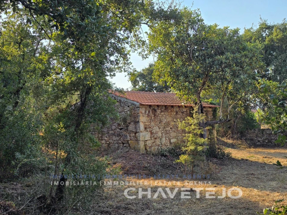 Terreno para Venda em Chãos Foto 12