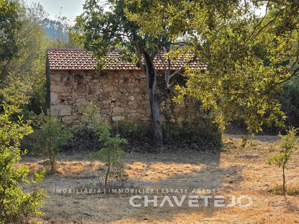 Terreno para Venda em Chãos Foto 14