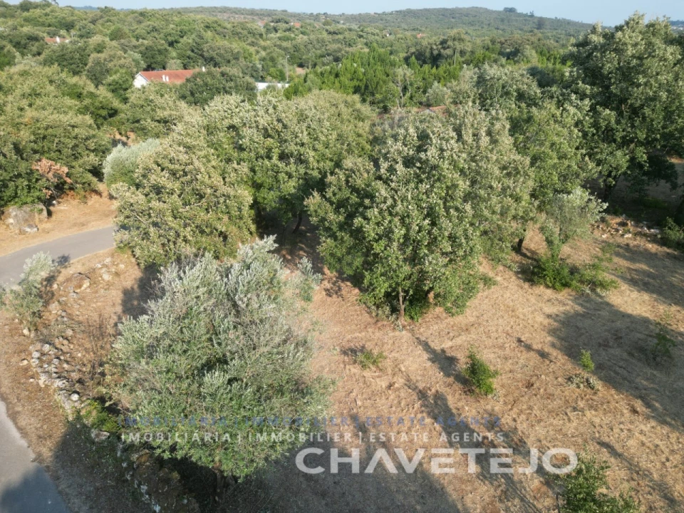 Terreno para Venda em Chãos Foto 16