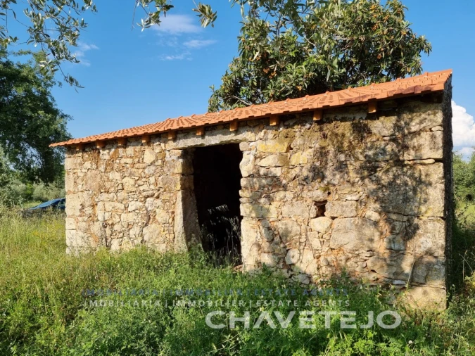 Terreno para Venda em Chãos Foto 2