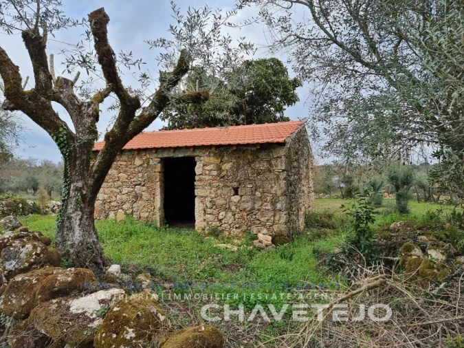Terreno para Venda em Chãos Foto 3