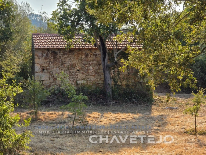 Terreno para Venda em Chãos Foto 14