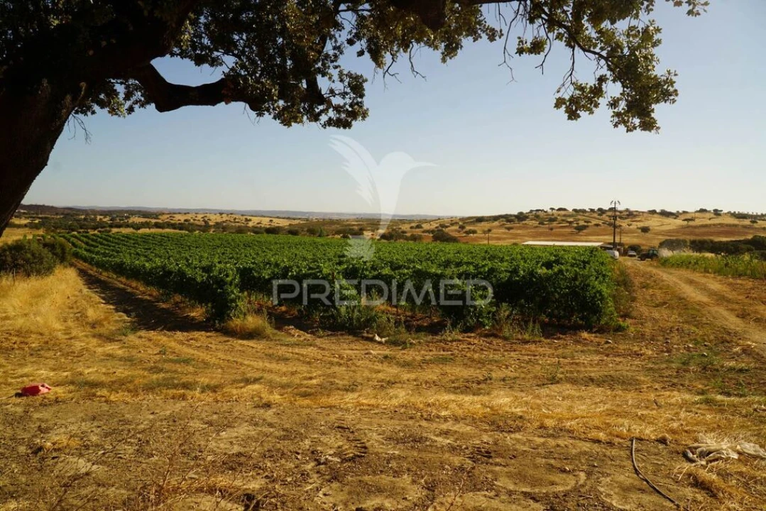 Quinta para Venda em Santiago Maior Foto 16
