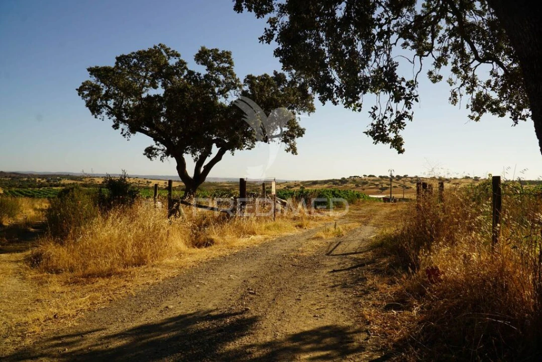 Quinta para Venda em Santiago Maior Foto 4