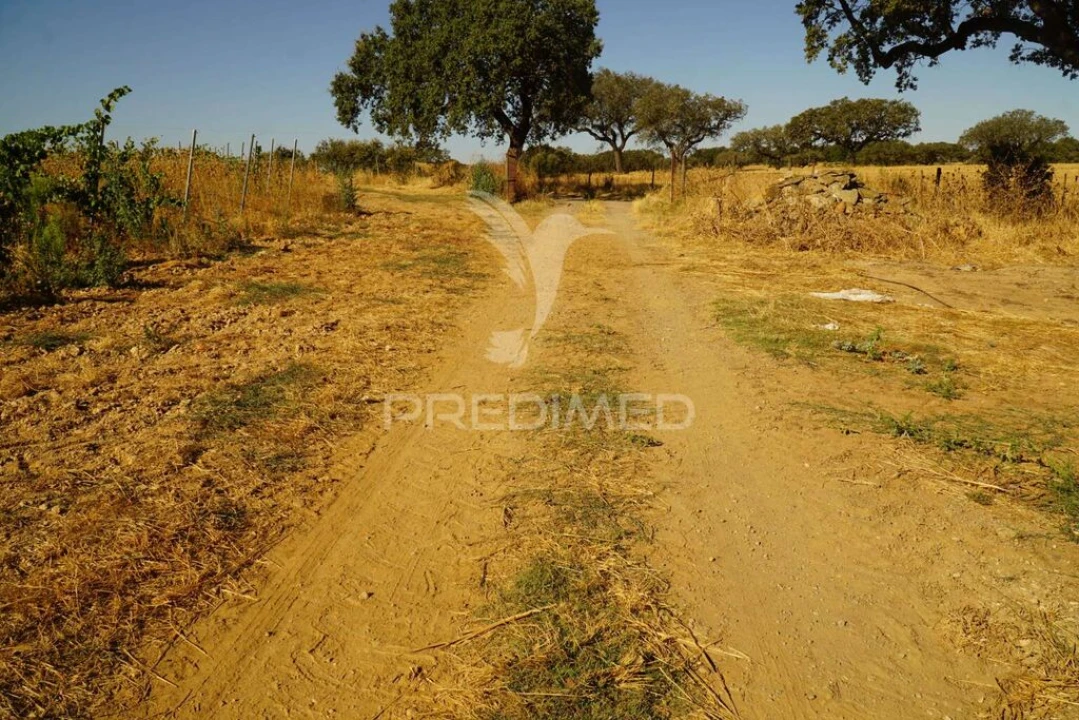 Quinta para Venda em Santiago Maior Foto 5