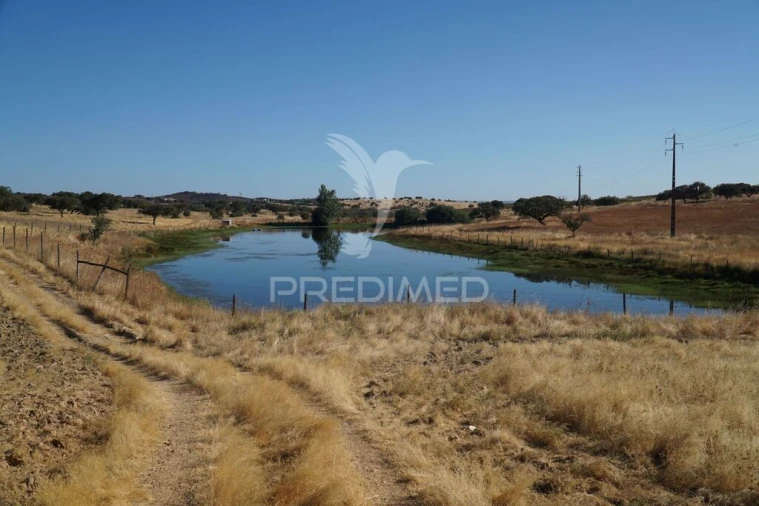 Quinta para Venda em Santiago Maior Foto 2