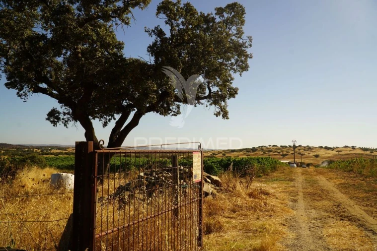 Quinta para Venda em Santiago Maior Foto 3