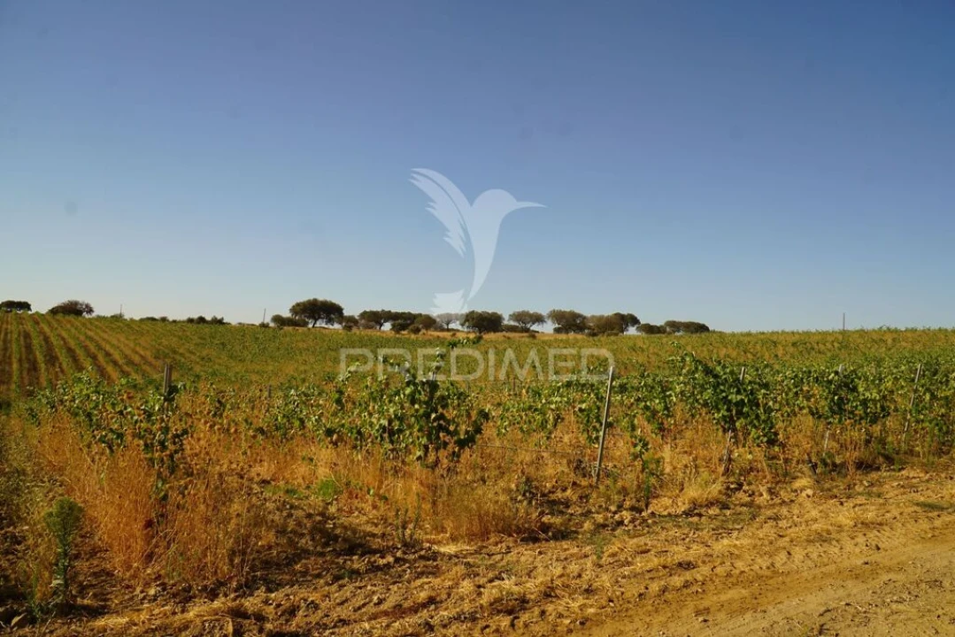 Quinta para Venda em Santiago Maior Foto 14