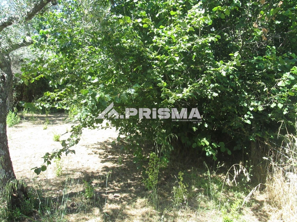 Terreno para Venda em São Miguel de Acha Foto 22