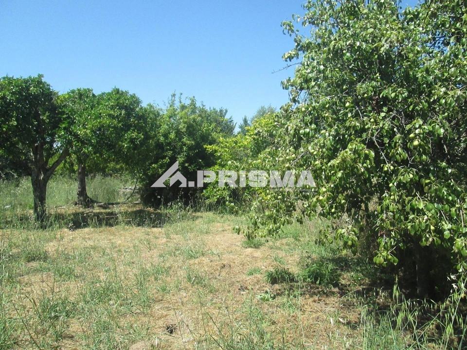 Terreno para Venda em São Miguel de Acha Foto 19