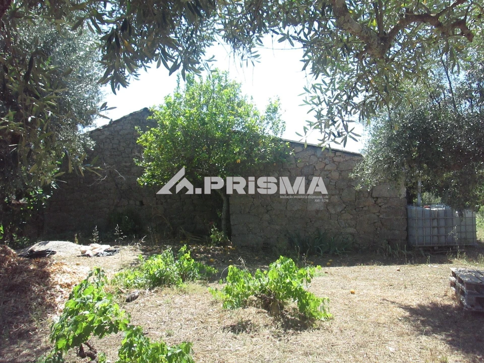 Terreno para Venda em São Miguel de Acha Foto 3