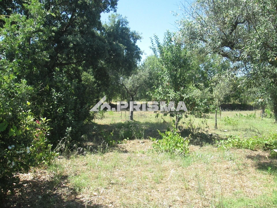 Terreno para Venda em São Miguel de Acha Foto 39