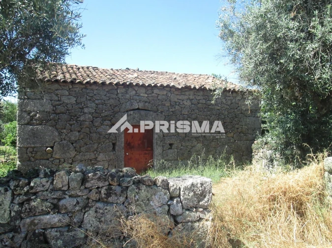 Terreno para Venda em São Miguel de Acha