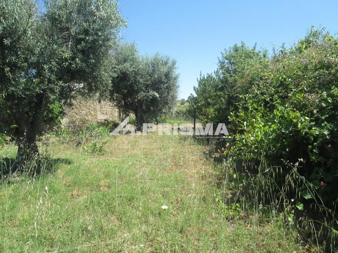 Terreno para Venda em São Miguel de Acha Foto 38