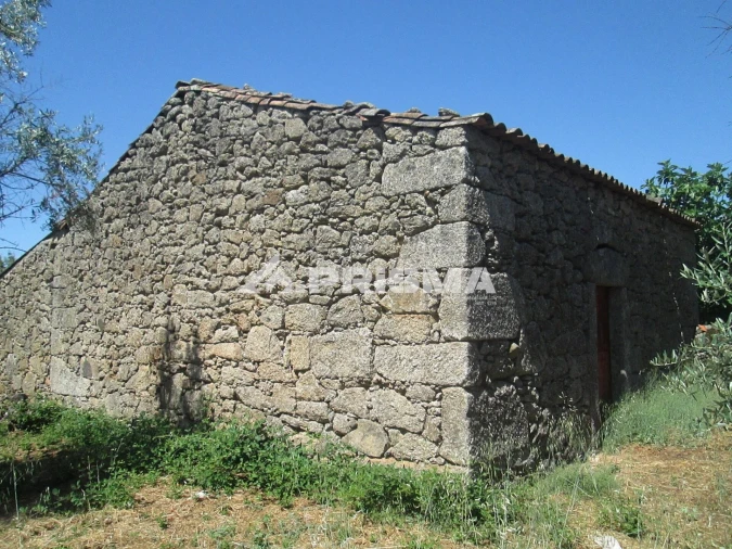 Terreno para Venda em São Miguel de Acha Foto 2