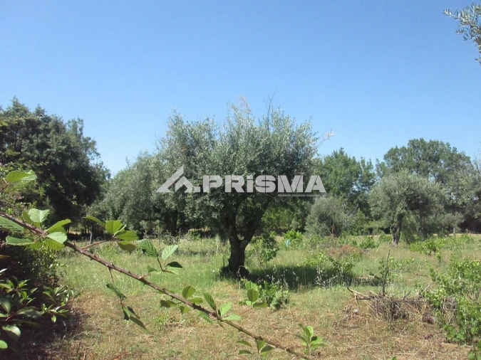 Terreno para Venda em São Miguel de Acha Foto 41