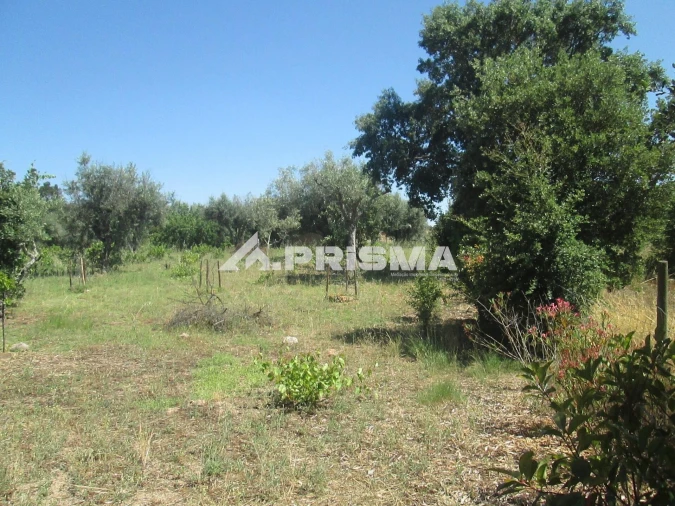 Terreno para Venda em São Miguel de Acha Foto 34