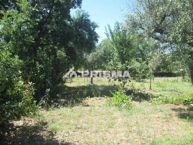 Terreno para Venda em São Miguel de Acha Foto 39