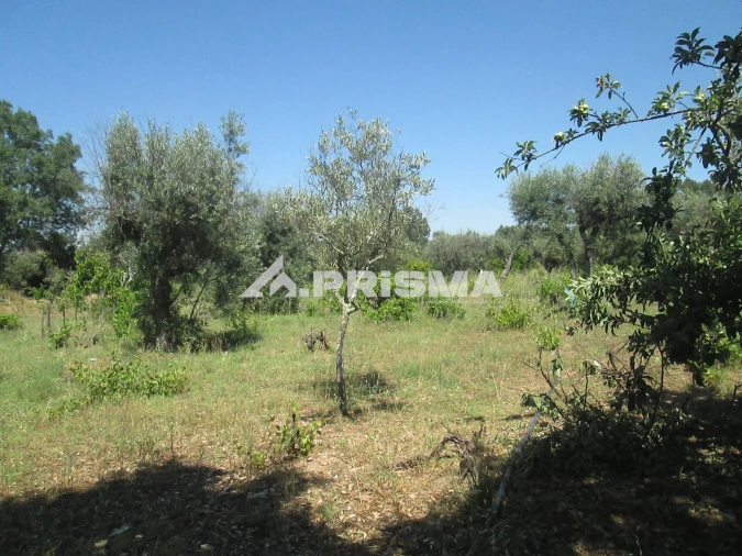 Terreno para Venda em São Miguel de Acha Foto 37