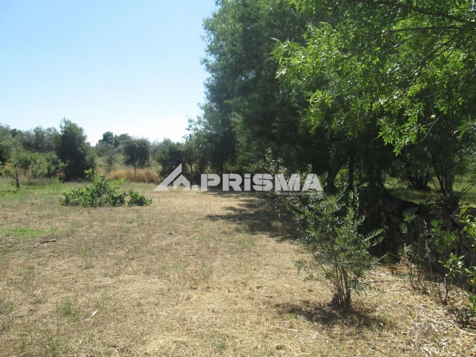 Terreno para Venda em São Miguel de Acha Foto 32