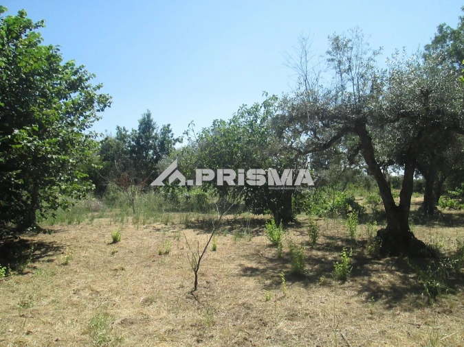 Terreno para Venda em São Miguel de Acha Foto 25