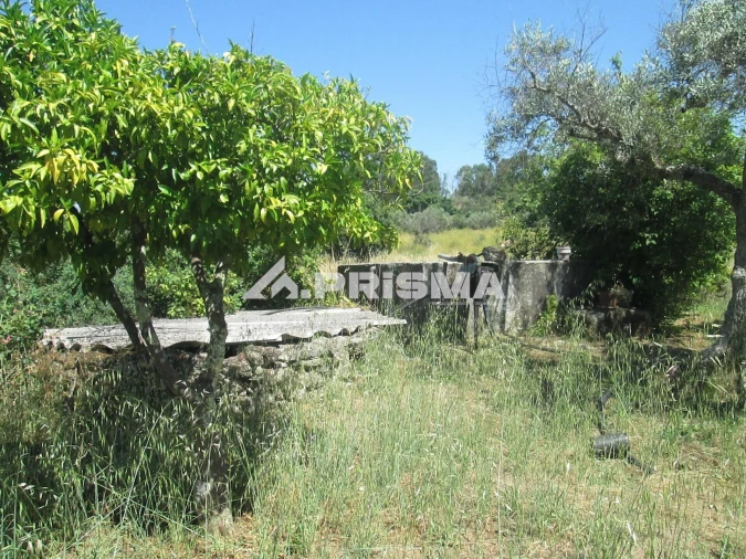 Terreno para Venda em São Miguel de Acha Foto 9