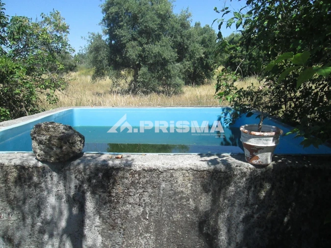 Terreno para Venda em São Miguel de Acha Foto 11