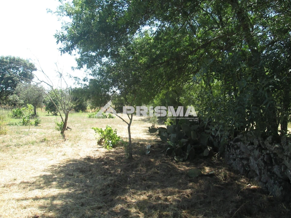 Terreno para Venda em São Miguel de Acha Foto 30