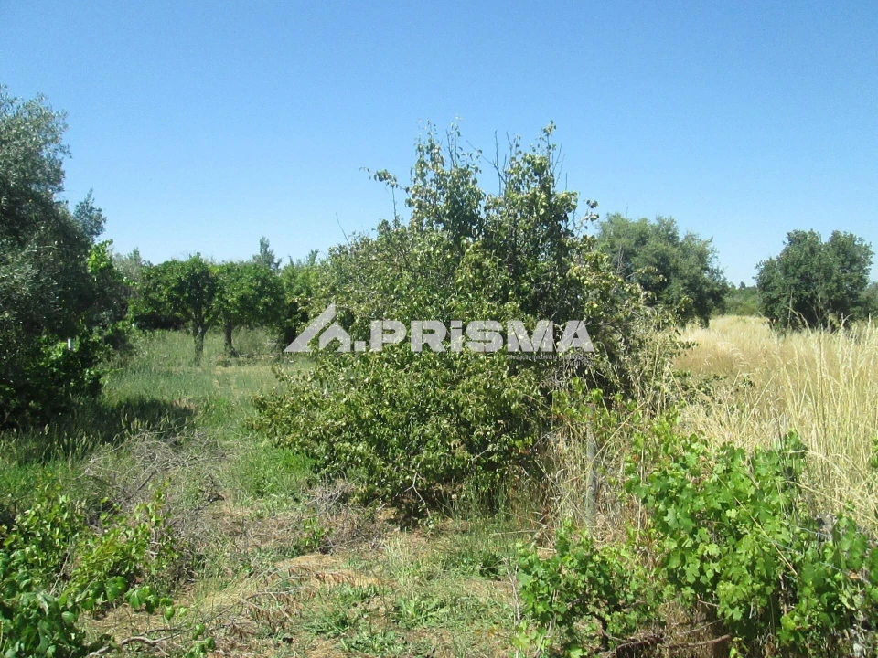 Terreno para Venda em São Miguel de Acha Foto 16