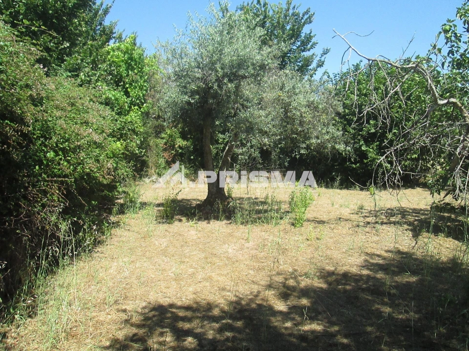 Terreno para Venda em São Miguel de Acha Foto 27
