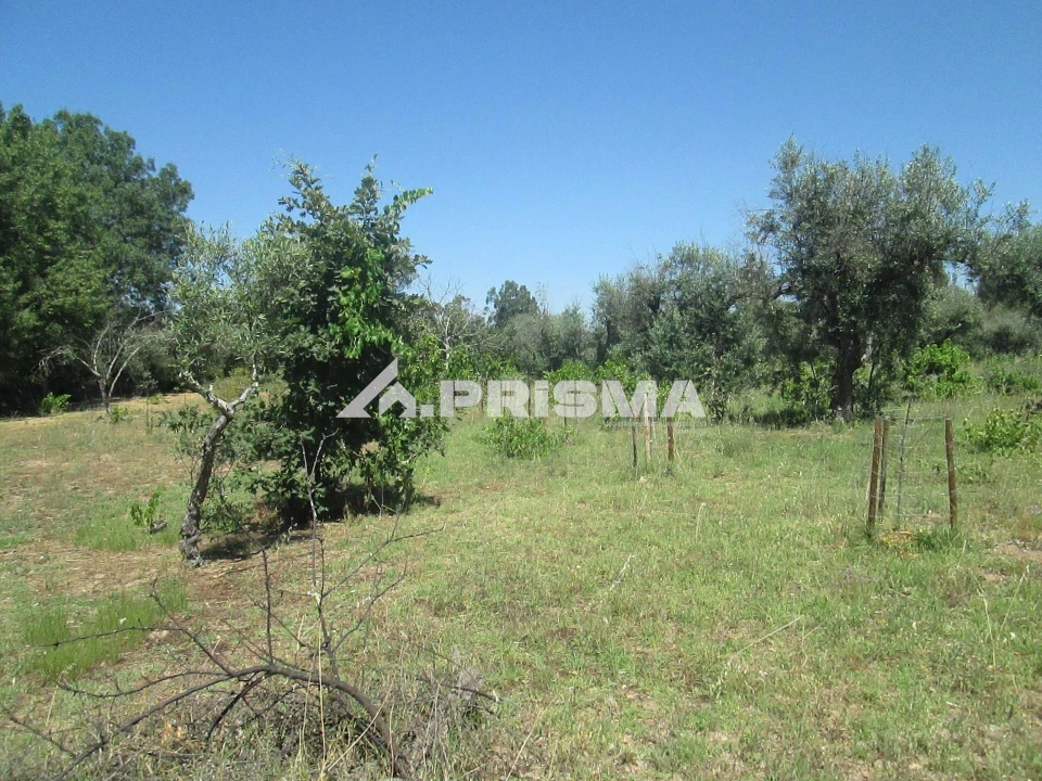 Terreno para Venda em São Miguel de Acha Foto 35