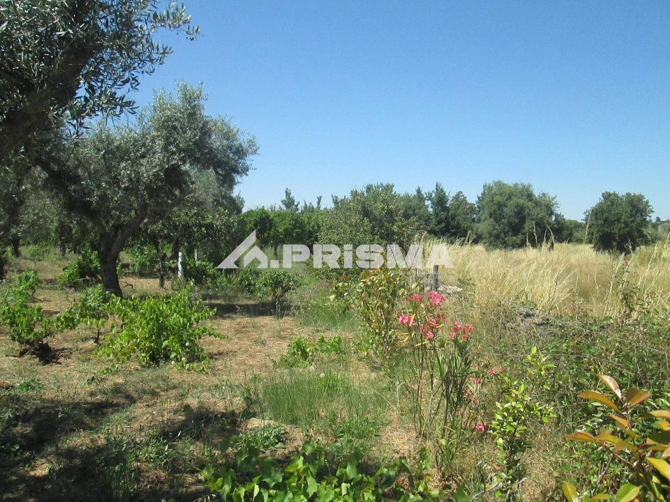 Terreno para Venda em São Miguel de Acha Foto 14