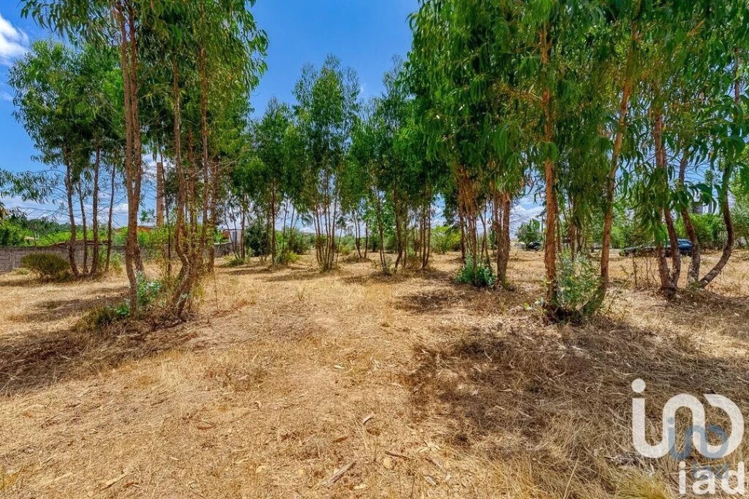 Moradia T3 para Venda em Martinchel Foto 9