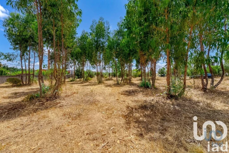 Moradia T3 para Venda em Martinchel Foto 9