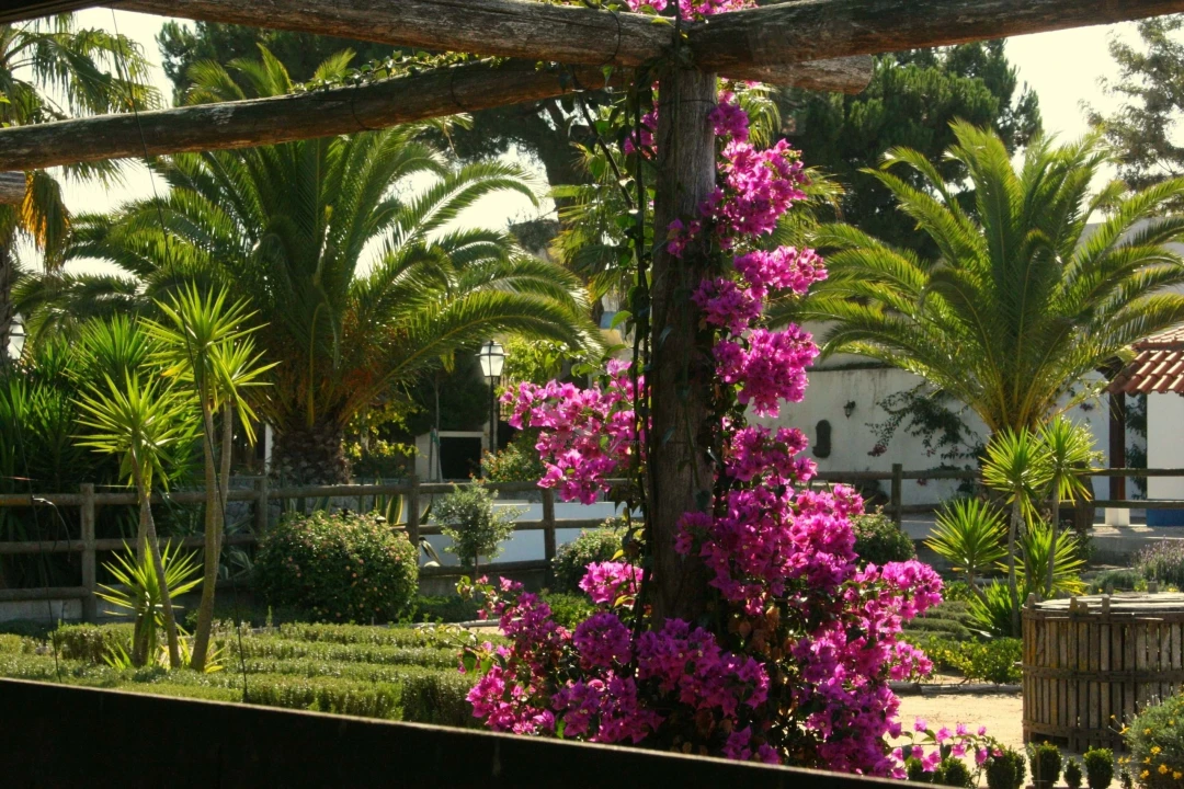 Moradia T12 para Venda em A dos Negros Foto 9