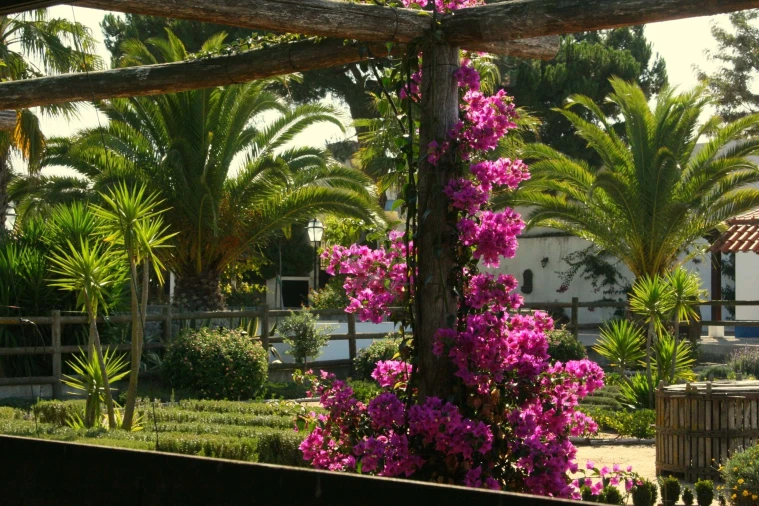 Moradia T12 para Venda em A dos Negros Foto 9