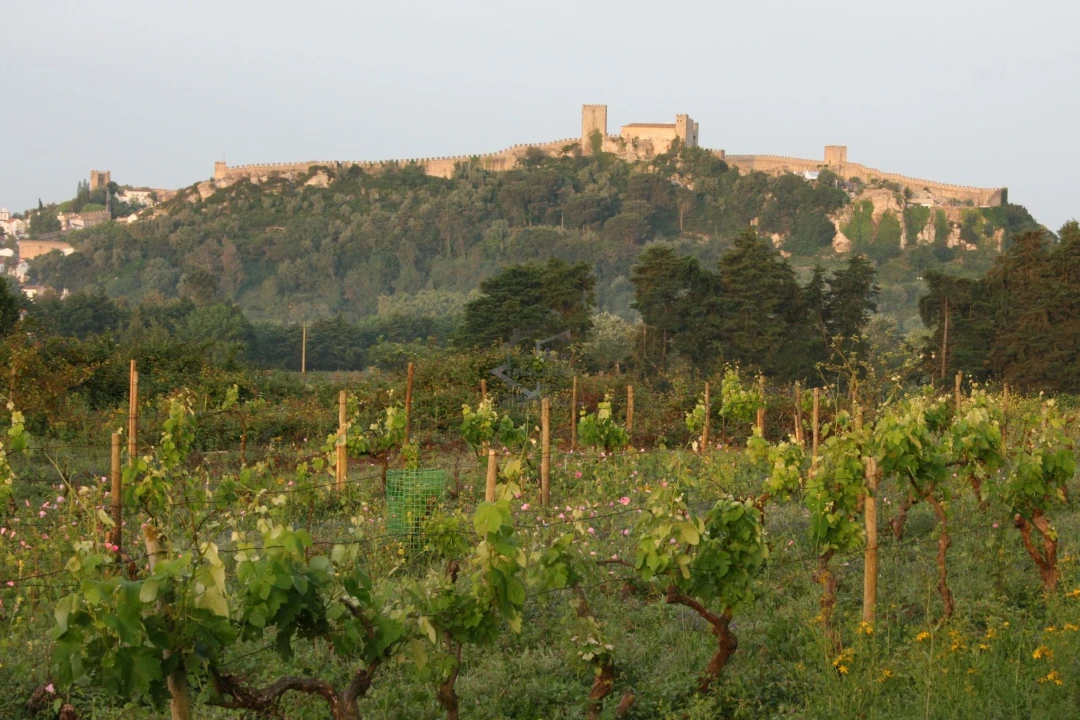 Moradia T12 para Venda em A dos Negros Foto 8