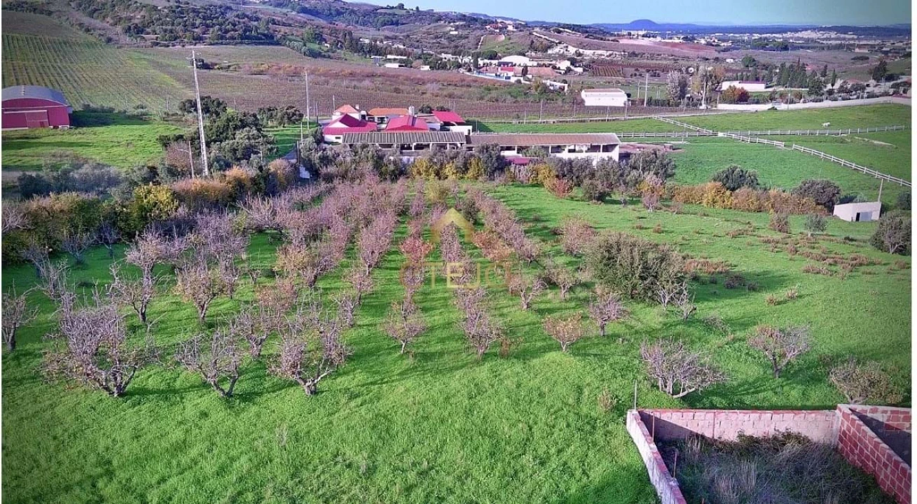 Quinta T7 para Venda em Carregado e Cadafais Foto 59