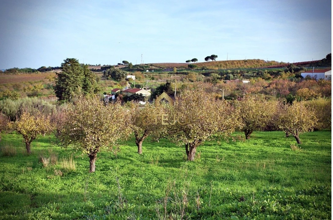 Quinta T7 para Venda em Carregado e Cadafais Foto 62