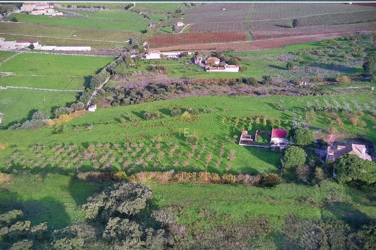 Quinta T7 para Venda em Carregado e Cadafais Foto 61