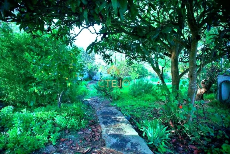 Quinta T7 para Venda em Carregado e Cadafais Foto 7