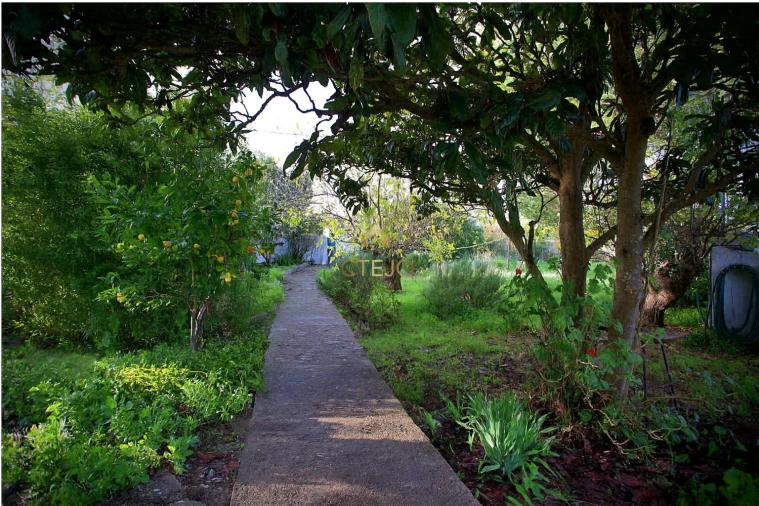 Quinta T7 para Venda em Carregado e Cadafais Foto 73