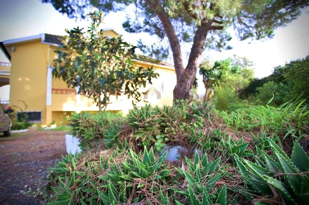 Quinta T7 para Venda em Carregado e Cadafais Foto 6